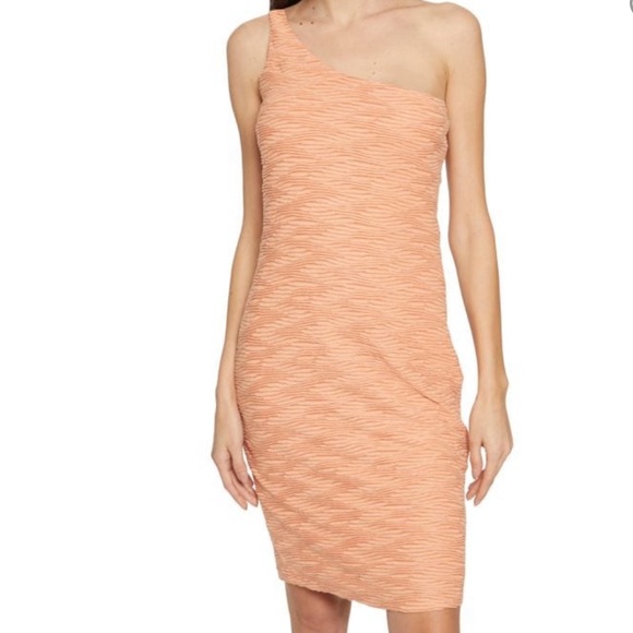 *NWT* WALTER BAKER AVRIL DRESS IN APRICOT - Picture 2 of 4